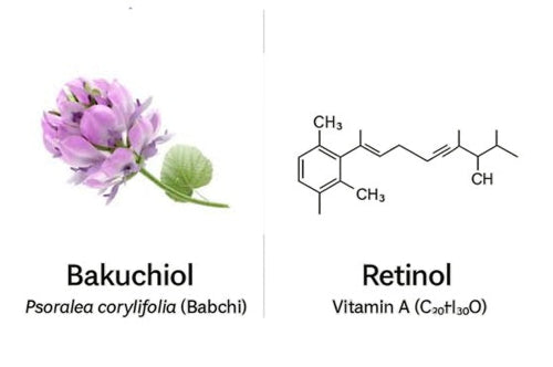 bakuchiol vs retinol