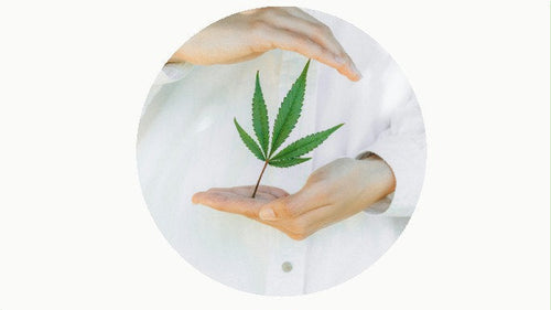 CBD oil for joint and muscle discomfort